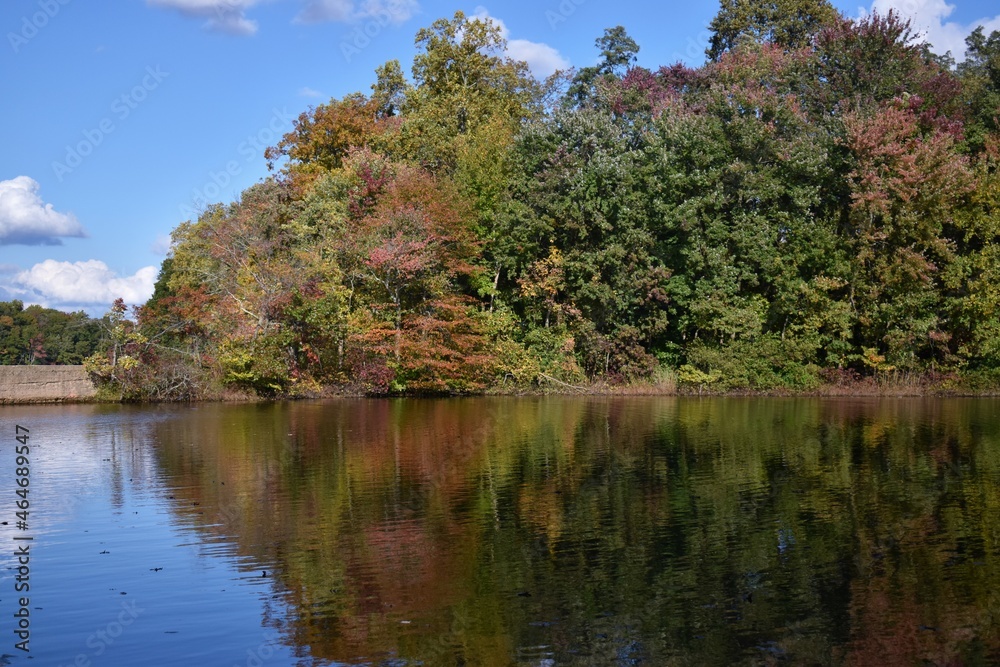 Fototapeta premium Fall Foliage