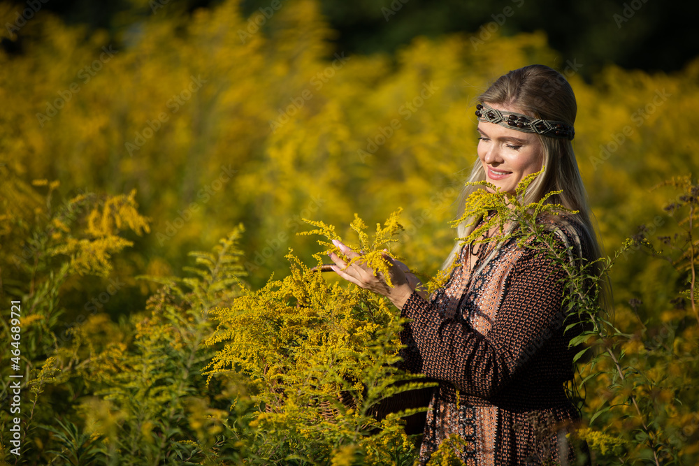 A young herbalist in her fields, checks goldenrod flowers as they bloom.