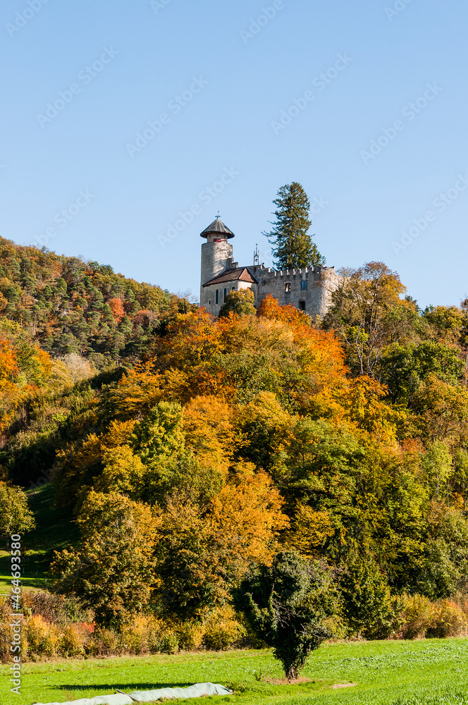 Arlesheim, Schloss Birseck, Burg, Weinberg, Landwirtschaft, Wald, Obstbäume, Ermitage, Herbstfarben, Wanderweg, Herbst, Baselland, Schweiz