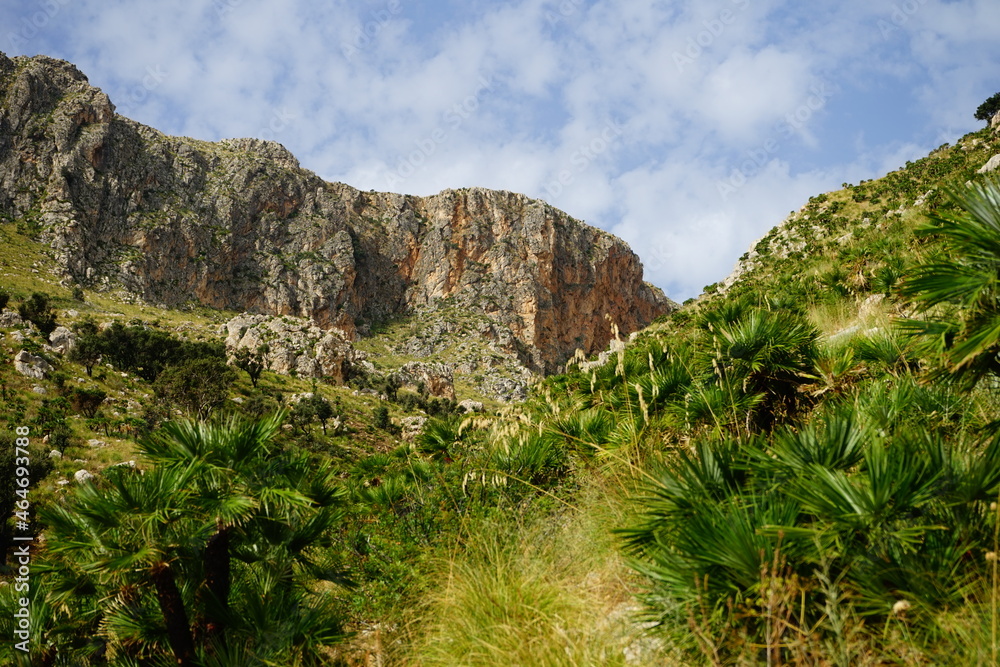 Riserva Naturale Orientata dello Zingaro mountain view on a summer day, Sicily, italy