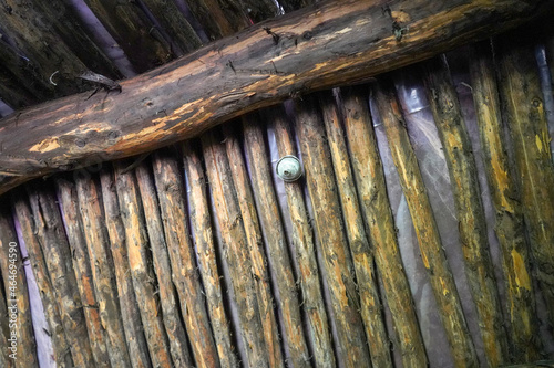 Wasp nest on a wooden pole roof     photo