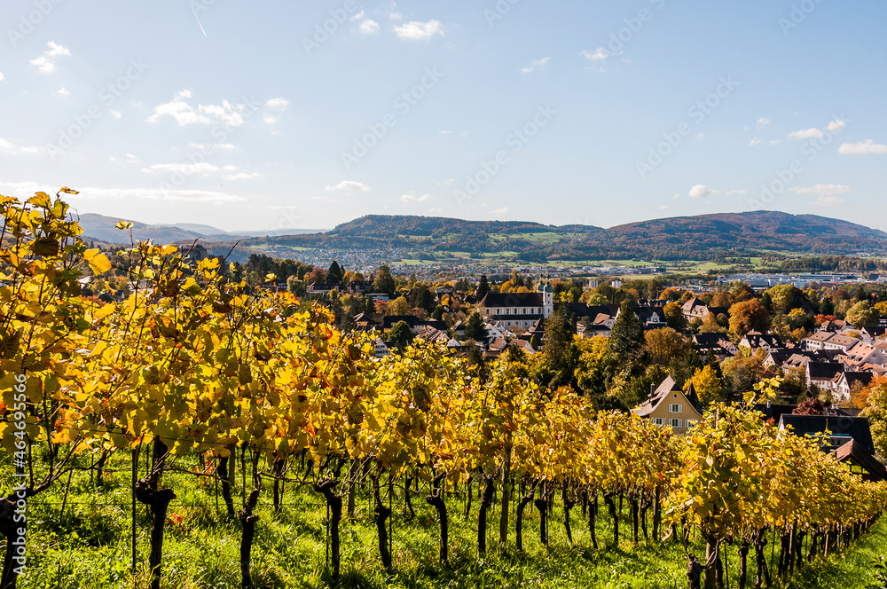 Arlesheim, Dom, Weinberg, Birstal, Birsebene, Dorf, Herbst, Herbstlaub, Ermitage, Baselland, Nordwestschweiz, Schweiz