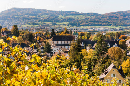 Arlesheim, Dom, Weinberg, Birstal, Birsebene, Dorf, Herbst, Herbstlaub, Herbstsonne, Ermitage, Baselland, Nordwestschweiz, Schweiz
