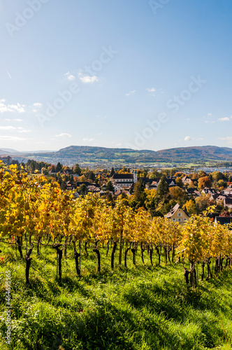 Arlesheim, Dom, Weinberg, Birstal, Birsebene, Dorf, Herbst, Herbstfarben, Herbstsonne, Ermitage, Baselland, Nordwestschweiz, Schweiz