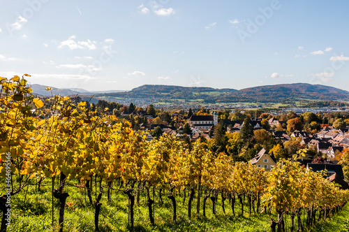 Arlesheim  Dom  Weinberg  Birstal  Birsebene  Dorf  Herbst  Herbstlaub  Ermitage  Baselland  Nordwestschweiz  Schweiz