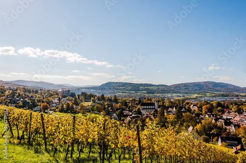 Arlesheim  Dom  Weinberg  Birstal  Birsebene  Dorf  Herbst  Herbstlaub  Ermitage  Pfeffingen  Aesch  Baselland  Nordwestschweiz  Schweiz