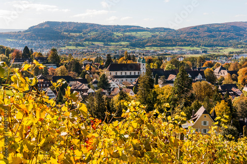 Arlesheim, Dom, Weinberg, Birstal, Birsebene, Dorf, Herbst, Herbstlaub, Ermitage, Baselland, Nordwestschweiz, Schweiz