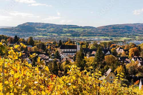 Arlesheim  Dom  Weinberg  Birstal  Birsebene  Dorf  Herbst  Herbstlaub  Ermitage  Baselland  Nordwestschweiz  Schweiz