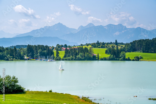 Ausblick über den Forggensee und die Allgäuer Alpen, Bayern, Deutschland 