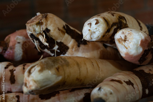 Peeled cassava in close-up detail with dark background and small pieces of peel