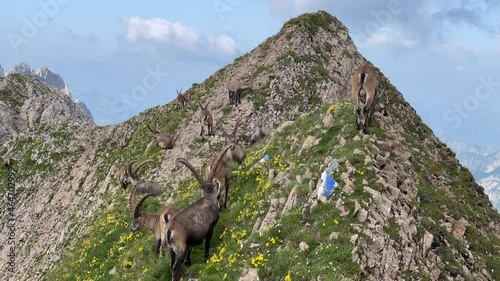 Altman in der Schweiz  photo