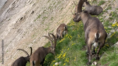 Altman in der Schweiz  photo