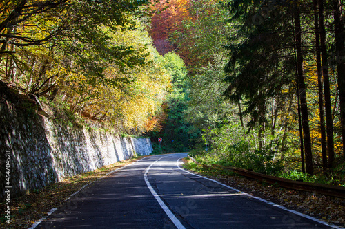 On the Transfagarasan Highway, Sibiu County, Romania photo