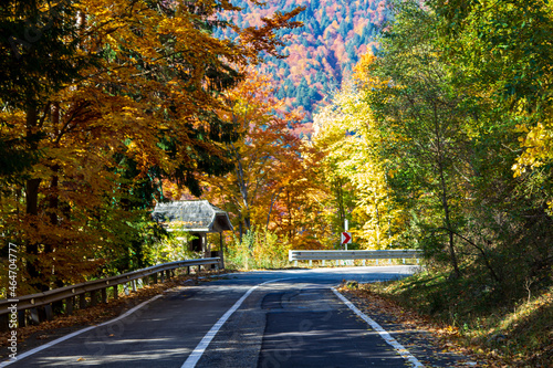 On the Transfagarasan Highway, Sibiu County, Romania photo