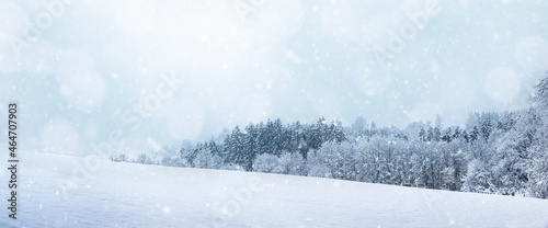 Wunderbare Verschneite Winterlandschaft bei Schneefall © by-studio