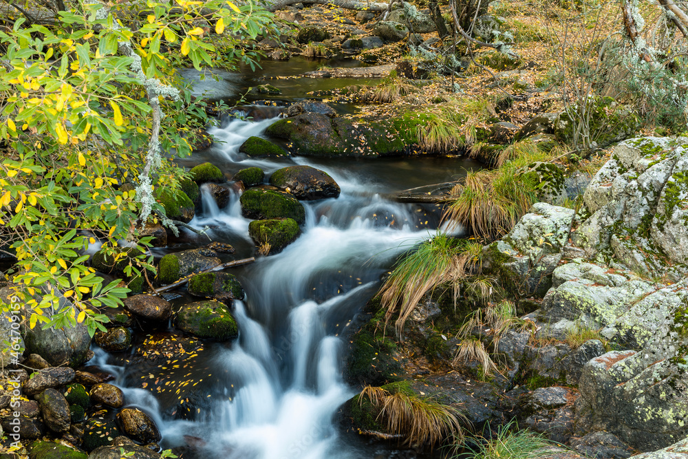 Lozoya river, with the colors of autumn, as it passes through the Sierra de Guadarrama in the province of Madrid Lozoya river, with the colors of autumn, as it passes through the Sierra de Guadarrama in the province of Madrid