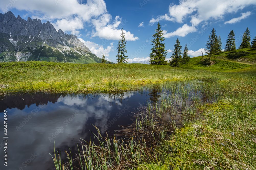 Mountain pond with Wilder Kaiser range reflecting in water pond, Tirol - Austria