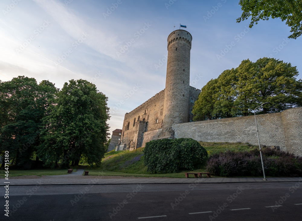 Fototapeta premium Tall Hermann Tower (Pikk Hermann) at sunset - Tallinn, Estonia