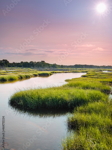 Autumn marsh landscape at sunrise on Cape Cod. Tranquil seascape of Cape Cod Lifestyle at high tide. Curving river flowing through dunes with wild plants under the pink and purple sky. 