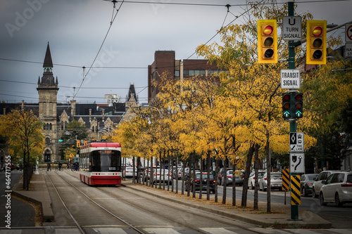 Photography Streetcar tram in the city on a gloomy autumn day in fall with yellow honey locu