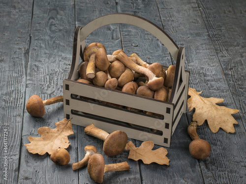 A gray wooden box with autumn forest mushrooms and oak leaves on a wooden table.