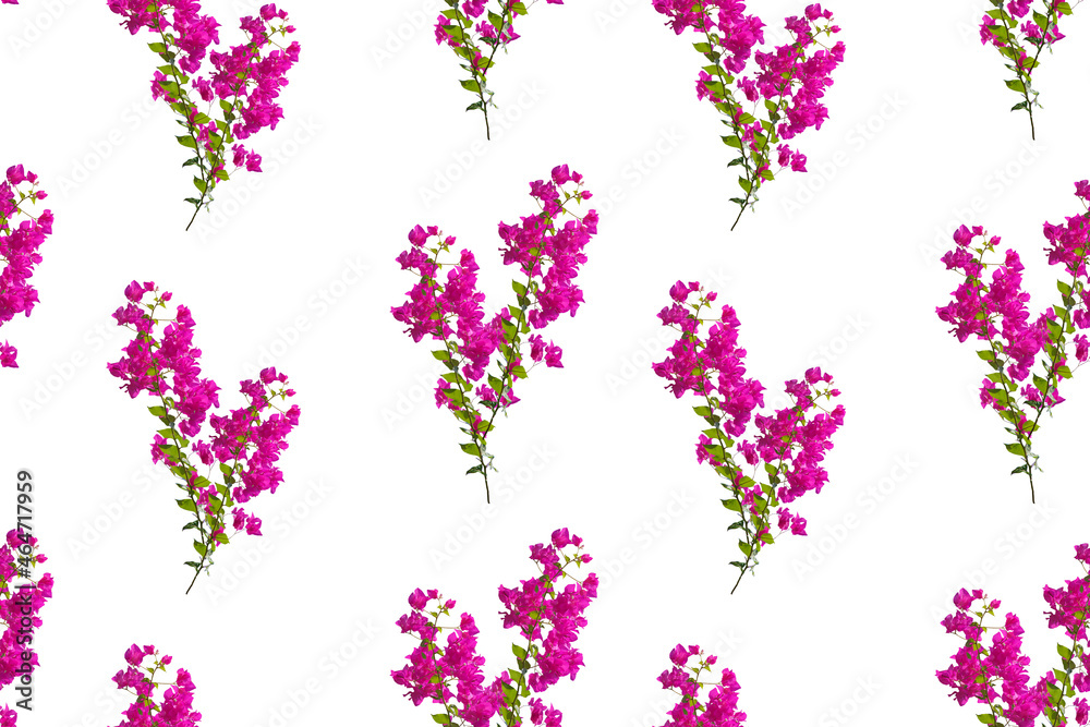 Seamless pattern with blooming purple twigs on a white background.