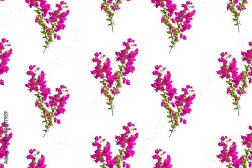 Seamless pattern with blooming purple twigs on a white background.
