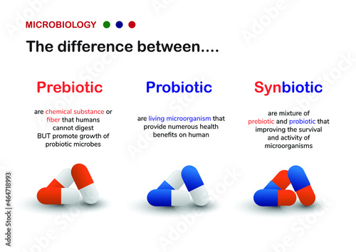 Microbiology diagram explain the difference between prebiotic, probiotic and synbiotic for human healthy gut photo