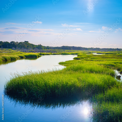 Cape Cod marshland seascape at sunrise. Vibrant colors of the green marsh plants and blue sky with reflections on the water surface.