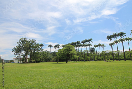 Burle-Marx Municipal park green lawn with palm trees, São José dos Campos, SP, Brazil.