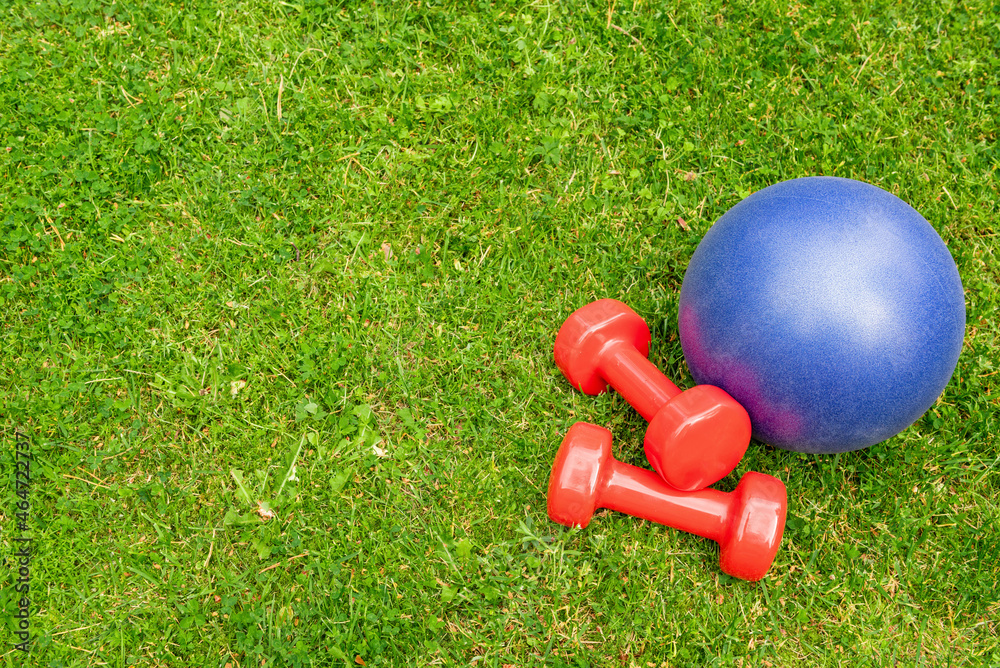 Red ladies dumbbells and blue ball on the green grass background