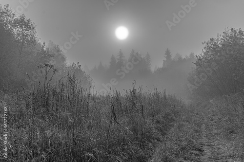 The sun that shines through the fog - 02