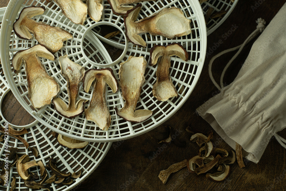 Dry sliced wild porcini mushrooms on food drier sieve and some dry mushrooms in a linen bag on wooden table. Autumn forest food preserved for winter. Living with nature, freegan food collecting