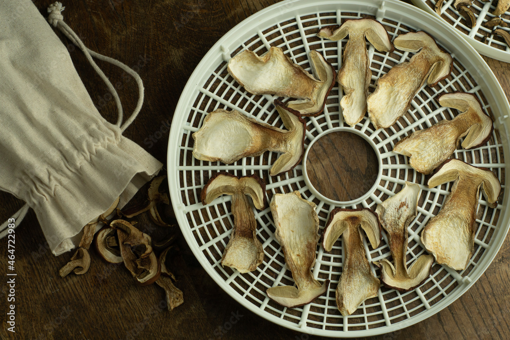 Dried slices of wild porcini mushrooms on a food drier sieve and some dry mushrooms in a linen bag on wooden table. Autumn forest food preserved for winter.