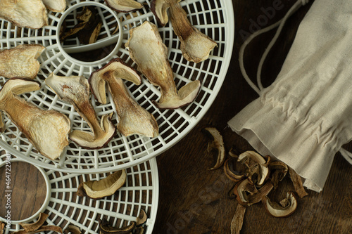Dry sliced wild porcini mushrooms on food drier sieve and some dry mushrooms in a linen bag on wooden table. Autumn forest food preserved for winter. Living with nature, freegan food collecting