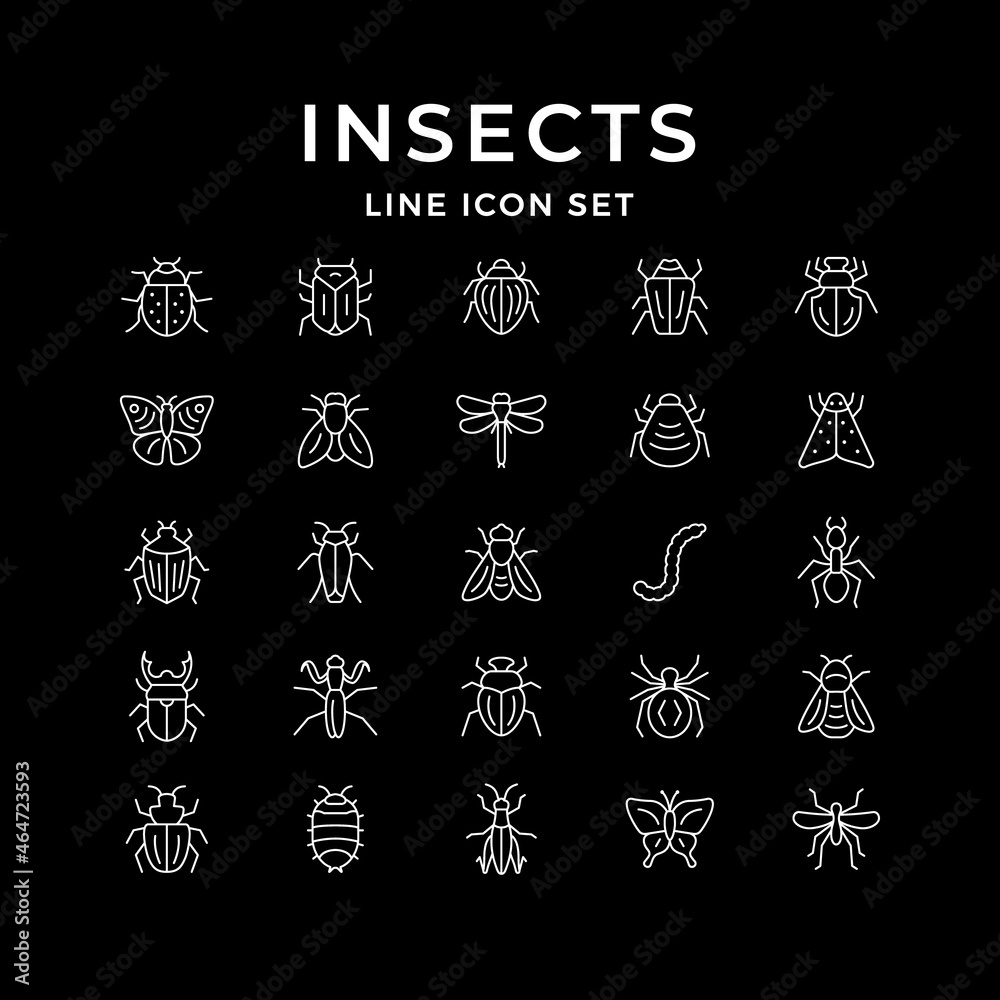 Set line icons of insects Set line icons of insects