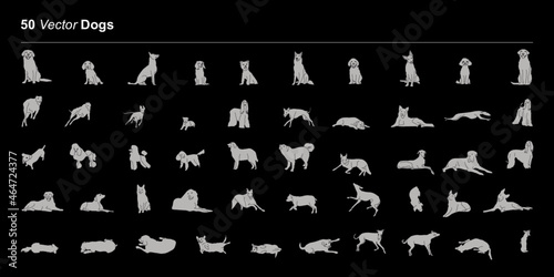 50 chiens - Vecteur