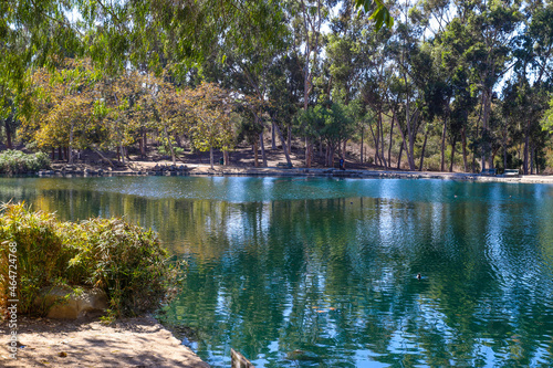 Bild auf Leinwand a gorgeous shot of the still blue lake water surrounded by lush green and autumn
