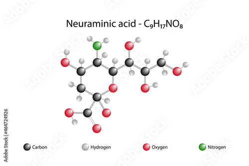 Molecular formula of neuraminic acid. Neuraminic acid is an acidic amino sugar with a backbone formed by nine carbon atoms.