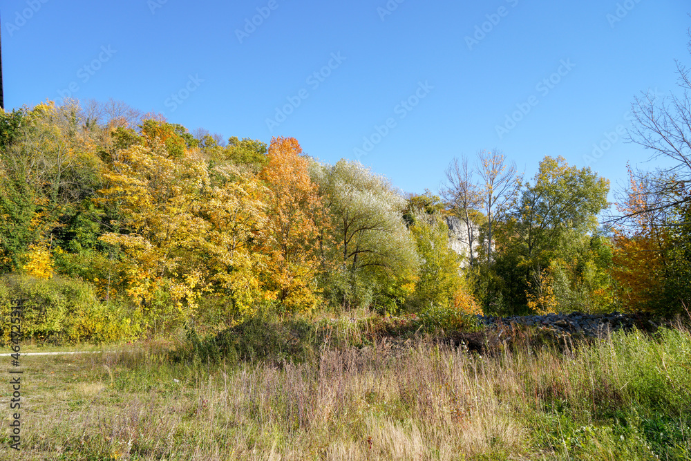 Fototapeta premium maintained park for recreation for all open in Germany