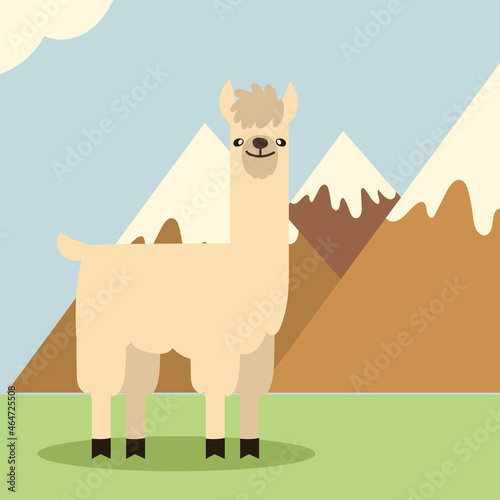 white llama and mountains