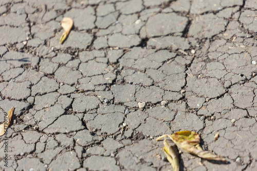 Dry cracked ground in the park in the shade