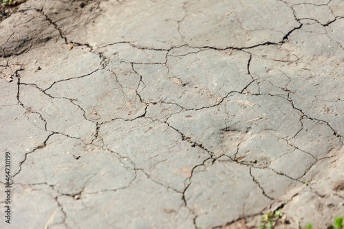 Dry cracked ground in the park in the shade
