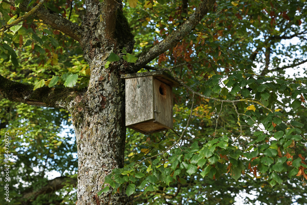 Birdbox - box as house for bird animal Birdbox - box as house for bird animal
