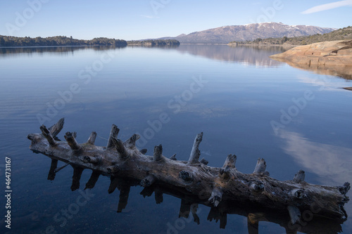 Lake view. Magical view of the calm lake, shoreline forest and mountains under a clear blue sky. The beautiful reflection in water. A large tree trunk in the shallows.