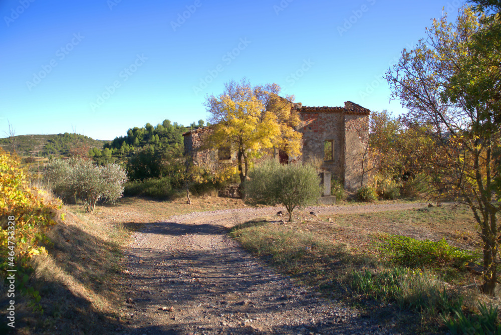 Ruines Ruines