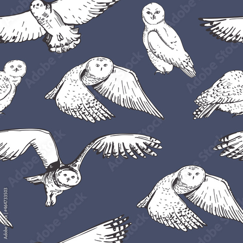 Snowy owls. Vector pattern. photo