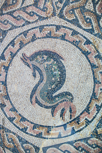 Fish mosaic. Merida, Spain