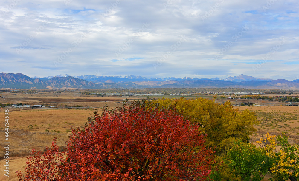 beautiful fall foliage colors in broomfield, colorado,  with a rocky mountain panorama