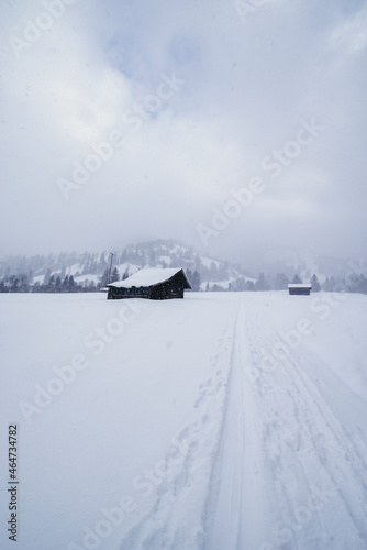 Kalte und verschneite Winterlandschaft auf einer Alm in den bayerischen Alpen an einem stürmischen Schneetag  © HLPhoto